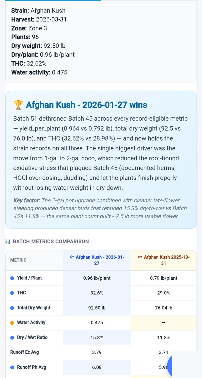 Batch comparison narrative — Afghan Kush Batch 51 wins across every metric with full side-by-side results table