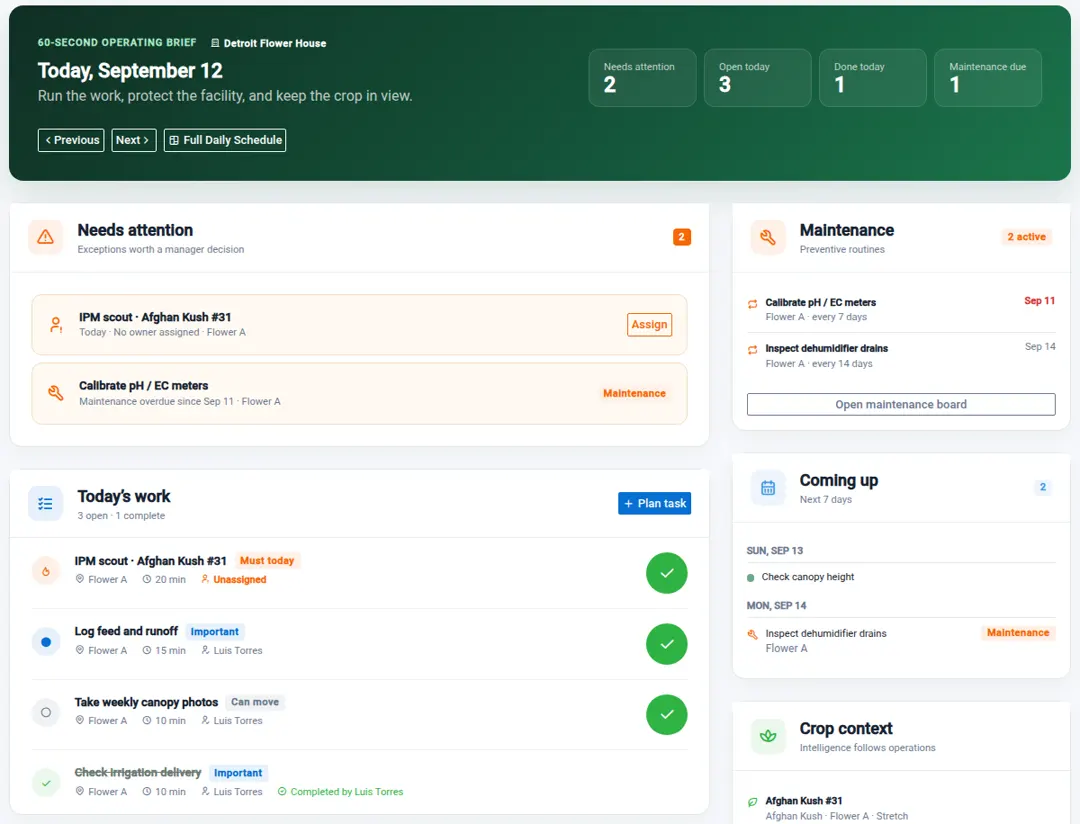 Growgoyle Daily Focus showing today's work and owners, attention needed, recurring maintenance, upcoming work, and crop context.